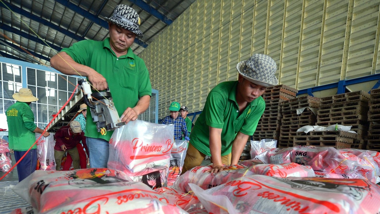 Sáng kiến chuyển đổi số cho 1 triệu tiểu thương 2