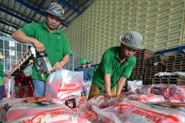 Sáng kiến chuyển đổi số cho 1 triệu tiểu thương