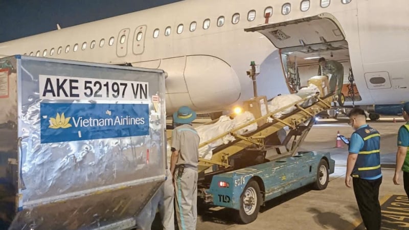 Vietnam Airlines vận chuyển đến Huế nhu yếu phẩm, thuốc men hỗ trợ vùng lũ