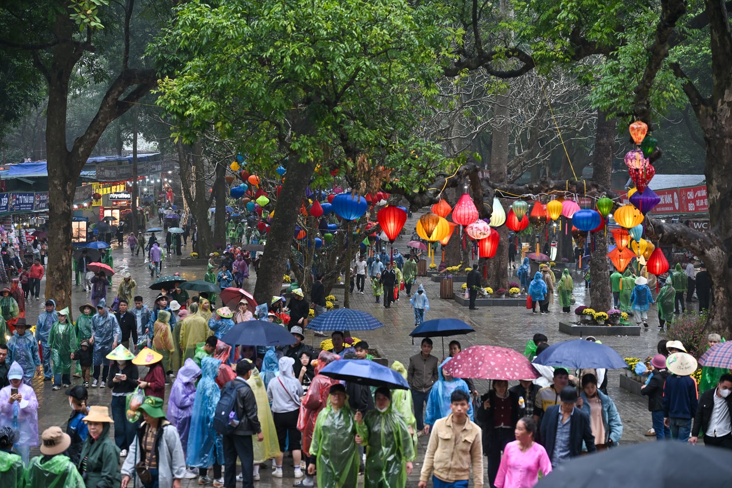 Chùa Hương khai hội xuân Bính Ngọ với nhiều điểm mới đáng chú ý 8