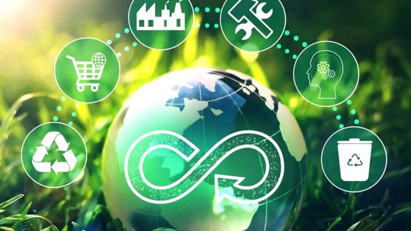 Kinh tế tuần hoàn là gì? Giải pháp bền vững cho doanh nghiệp