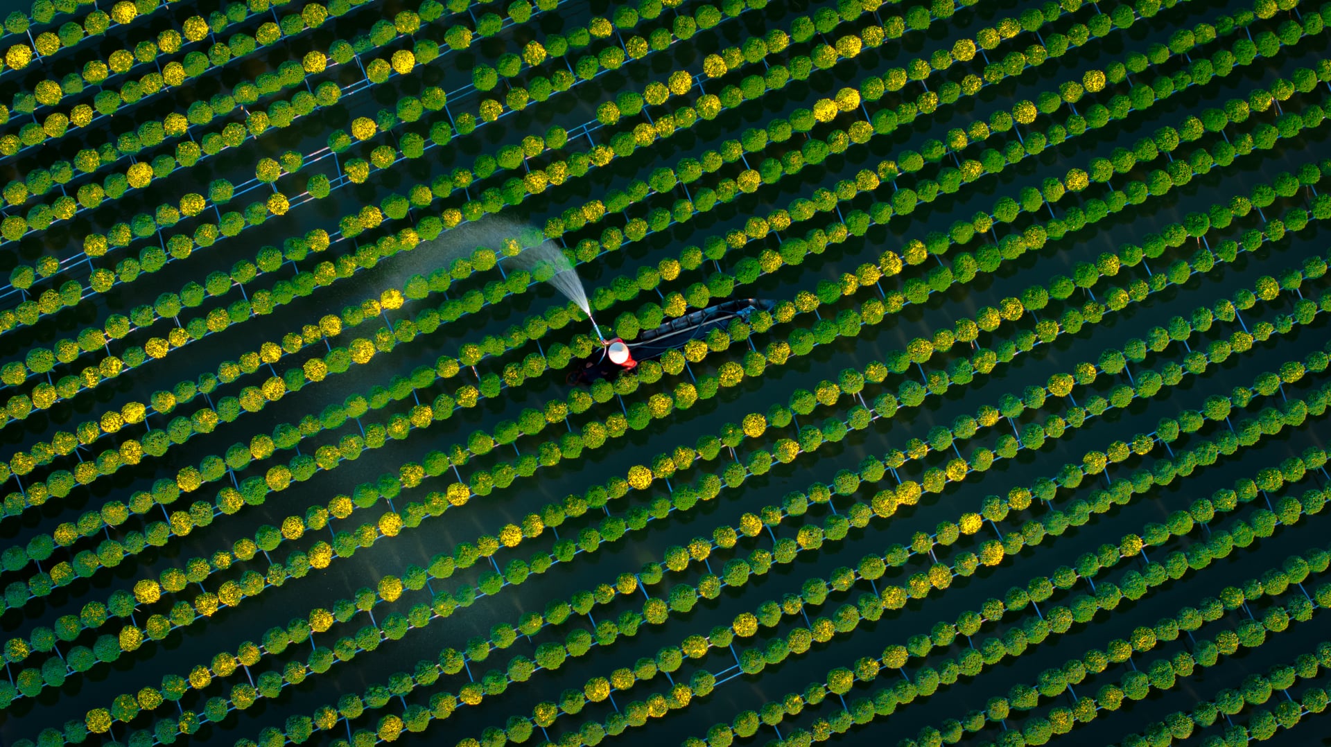 Sứ mệnh kiến tạo đất nước phồn vinh 3