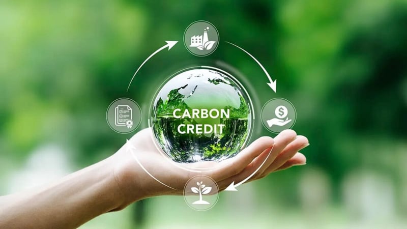 Tín chỉ carbon là gì? Cơ hội và lộ trình cho doanh nghiệp