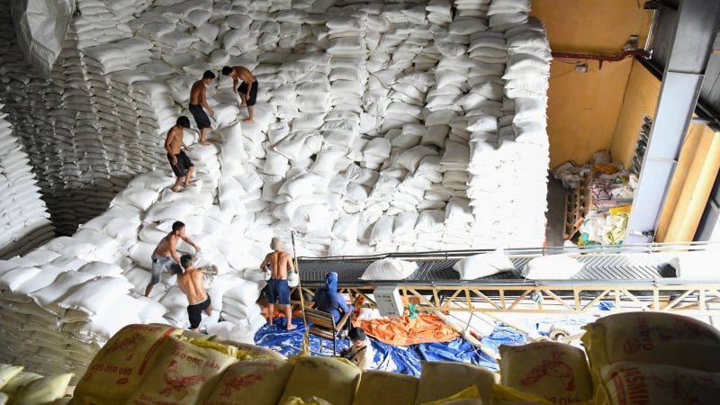 Thủ tướng yêu cầu đảm bảo thu mua lúa gạo từ nông dân