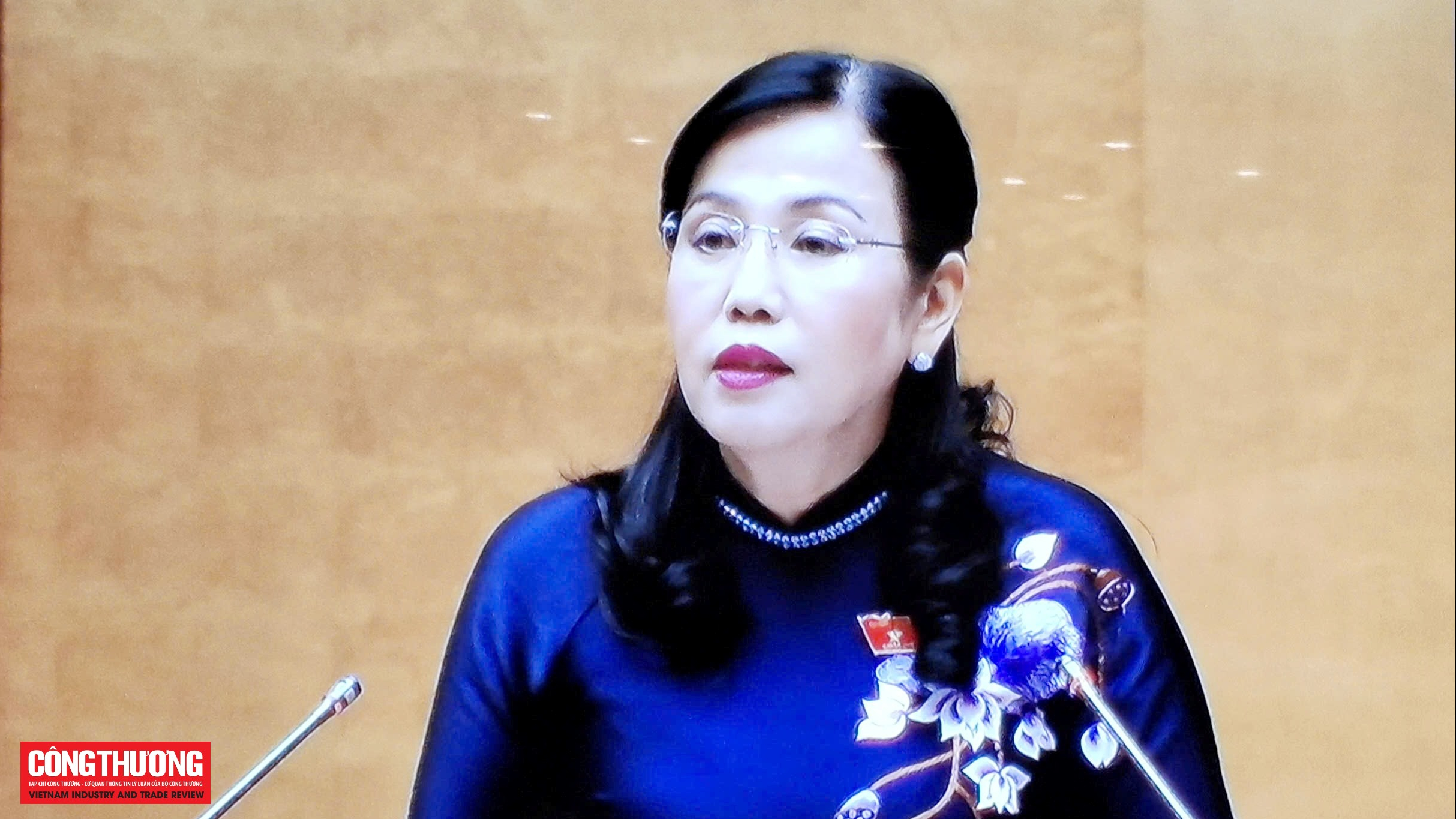 Ủy ban Khoa học, Công nghệ và Môi trường của Quốc hội: Dự án Luật sửa đổi, bổ sung một số điều của Luật Điện lực được chuẩn bị công phu