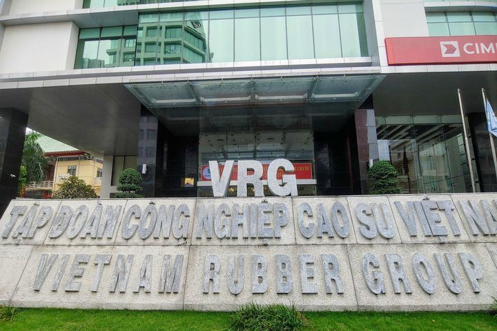 Tập đoàn Cao su lại chi hơn 1.600 tỷ đồng tiền mặt thanh toán cổ tức năm 2021