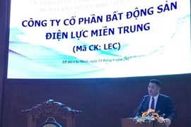 Hoạt động kinh doanh của LEC ra sao khi phải giải trình 11 phiên tăng trần liên tiếp?