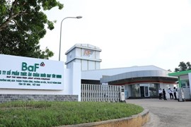 Phó tổng giám đốc BAF đã bán gần 6,6 triệu cổ phiếu trong 3 phiên