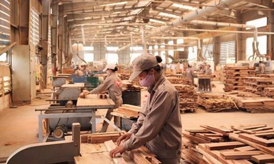 DOC se khao sat thuc te tai mot so doanh nghiep go Viet Nam 2 DOC sẽ khảo sát thực tế tại một số doanh nghiệp gỗ Việt Nam 2