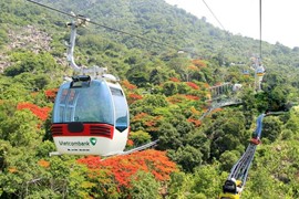 Cáp treo Núi Bà Tây Ninh chia cổ tức năm 2021 bằng tiền mặt