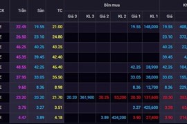 Giá trị cổ phiếu bất động sản bị thổi bay 20-30% chỉ sau 1 tuần