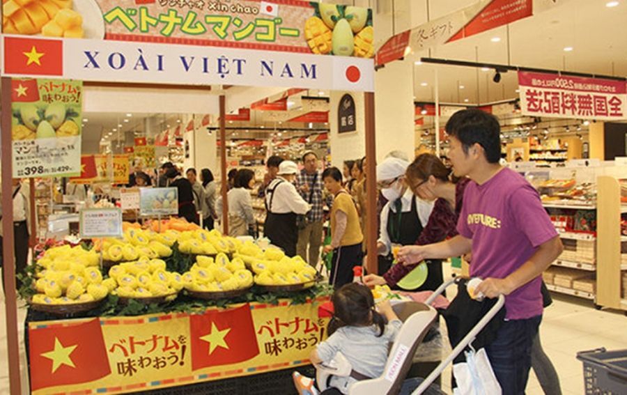 Năm 2030, hàng hóa Việt Nam sẽ có ở tất cả chuỗi phân phối tại các quốc gia có FTA