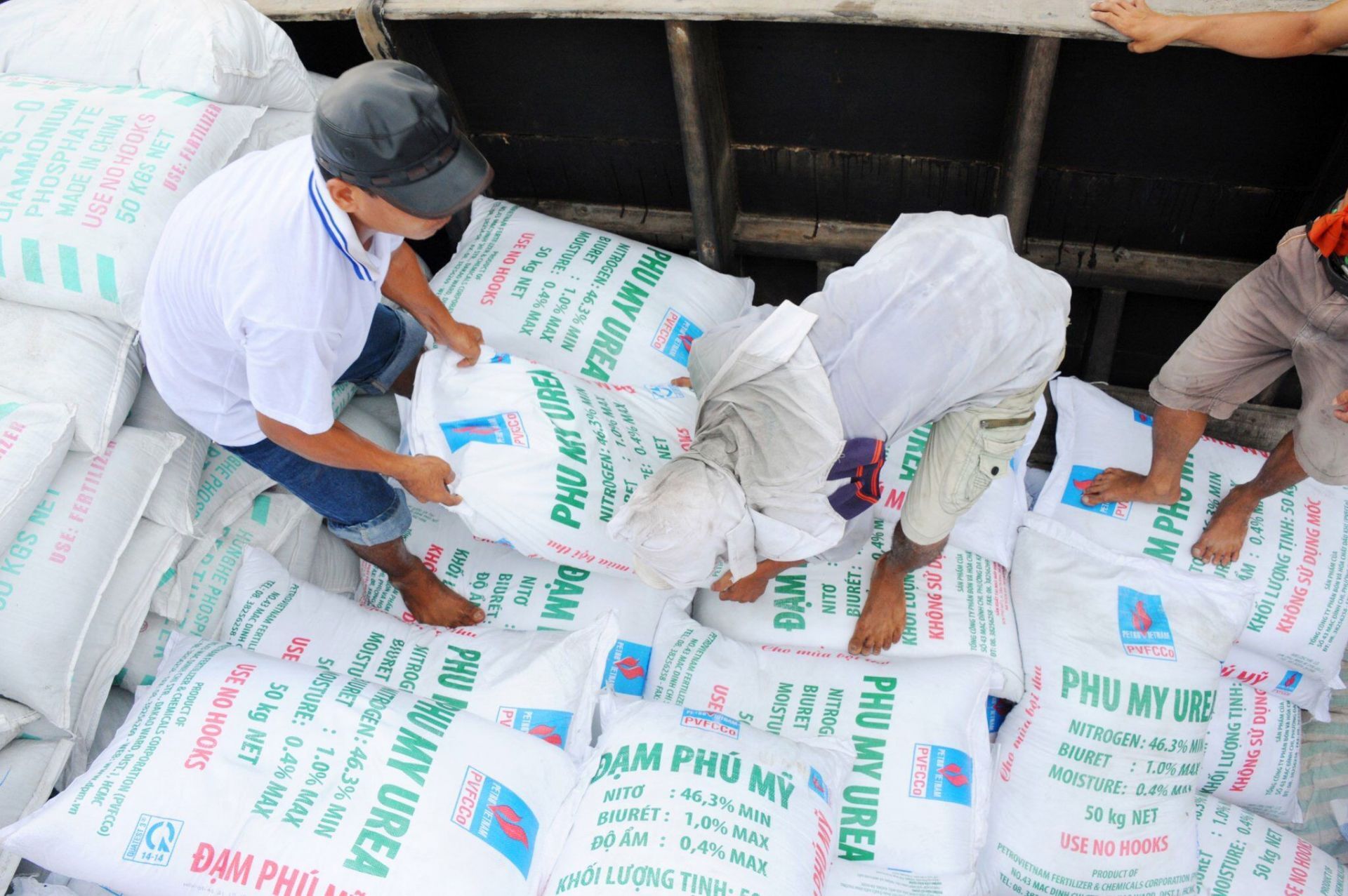 Phan bon gia nhap "cau lac bo xuat khau ty USD" Phân bón gia nhập "câu lạc bộ xuất khẩu tỷ USD"