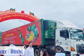 WinCommerce cam kết tiêu thụ 400 - 500 tấn xoài Sơn La