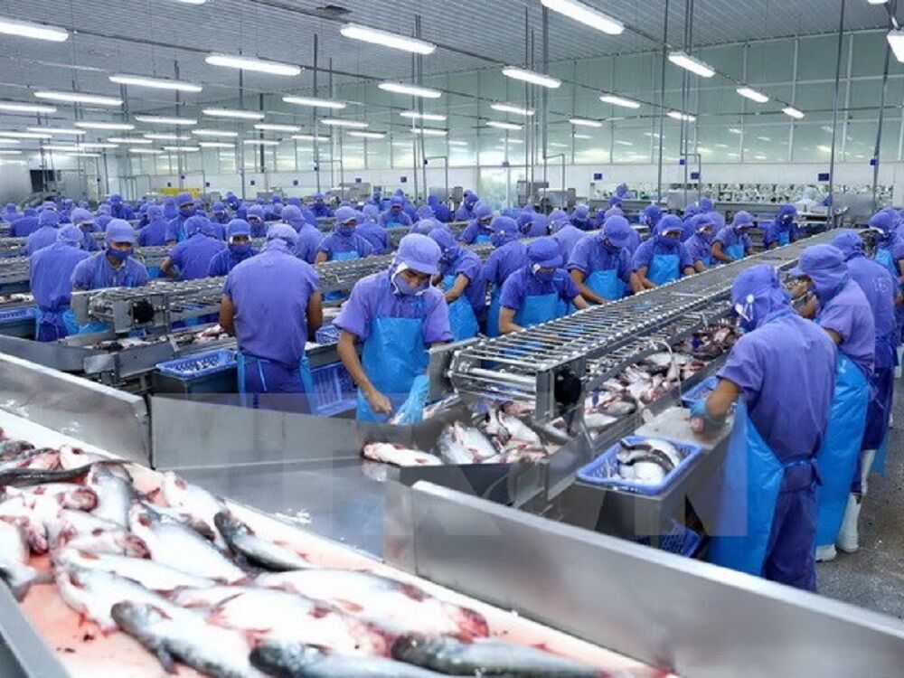  Nữ hoàng cá tra Trương Thị Lệ Khanh: “Khó khăn thì tìm cách vượt qua, chứ không ngồi than vãn” 2