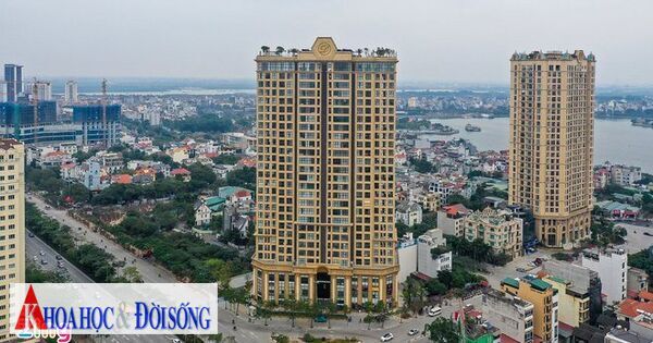 Đơn vị kiểm toán công ty thành viên Tân Hoàng Minh bị đình chỉ tư cách