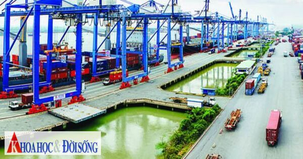 Chuyển đổi số ngành logistics: Thời đại "cá nhanh" thắng "cá chậm"