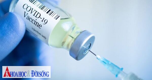 Nhiều tỉnh đề nghị không nhận hoặc điều chuyển vắc xin Covid được phân bổ