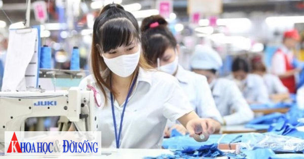 Công đoàn đề xuất thêm hệ số vào lương tối thiểu giờ