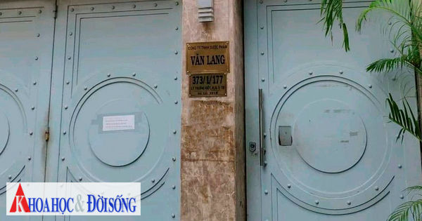 Dược Văn Lang: Nhà thầu cỡ lớn, lợi nhuận siêu nhỏ, và những vấn đề về thuế ?