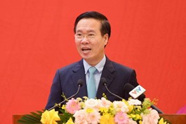 Ban Chỉ đạo phòng, chống tham nhũng, tiêu cực tỉnh trực tiếp chỉ đạo chủ trương xử lý vụ án tham nhũng, tiêu cực