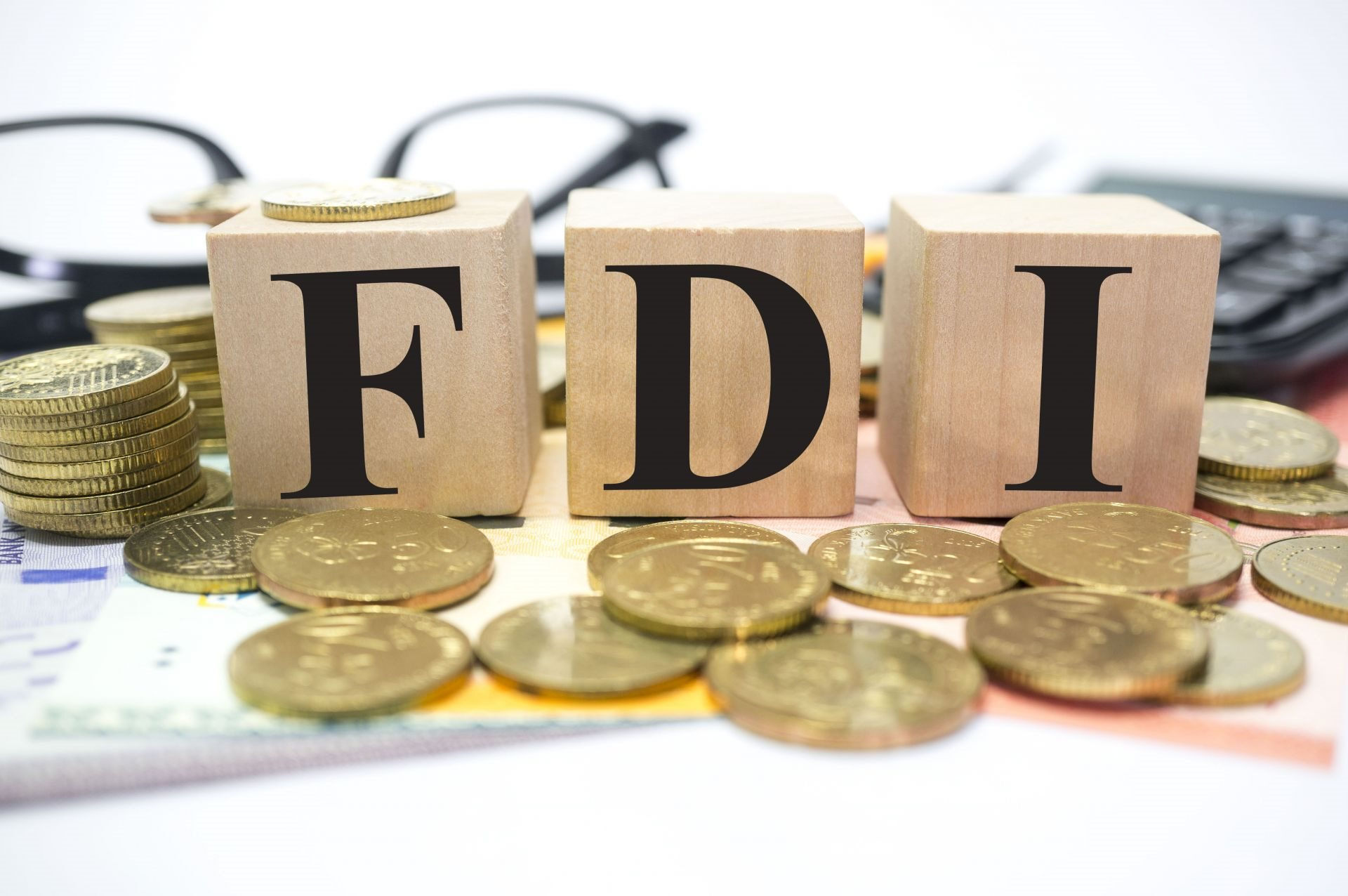 fdi.jpeg