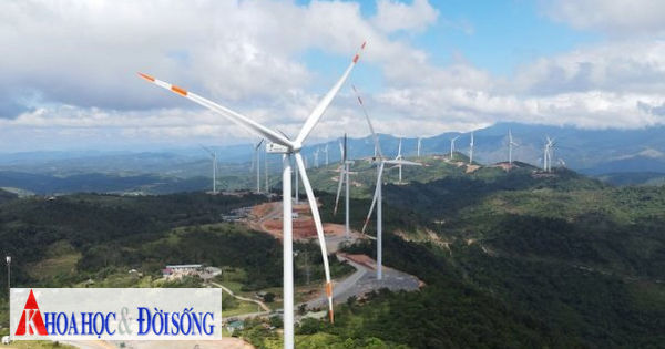 Điện gió chỉ phát được một nửa công suất