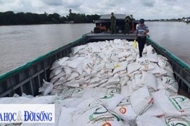 Bộ Tài chính: Đề xuất dán tem điện tử truy xuất nguồn gốc mặt hàng đường cát