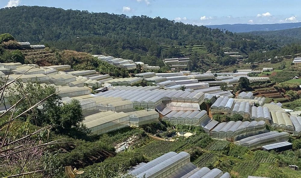 nha-luoi.jpg