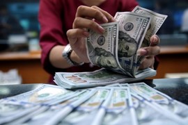 Tỷ giá USD ngày 16/8: Đồng USD phục hồi