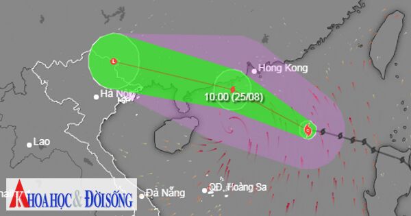 Chiều 25/8: Miền Bắc mưa to do bão số 3 tăng cấp 12, giật cấp 15