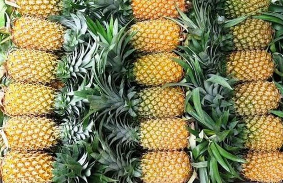 Doanh nghiệp Việt cần lưu ý những gì khi xuất khẩu dứa sang thị trường châu Âu?