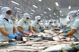 Xuất khẩu thủy sản đang “giảm tốc”