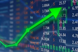 Thua lỗ liên tiếp nhưng cổ phiếu VHH vẫn tăng mạnh