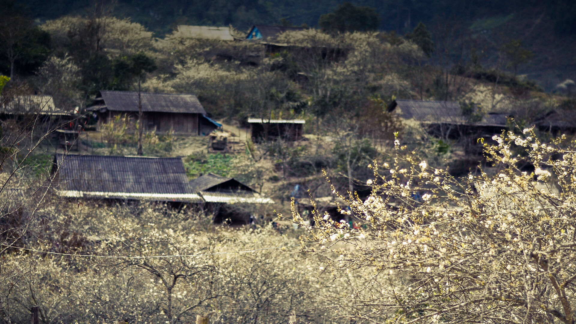 Emagazine Xứ nghệ quê tôi