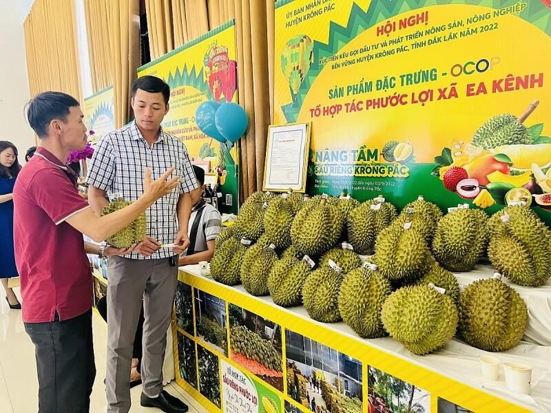 Đắk Lắk: Lô sầu riêng đầu tiên sắp xuất sang thị trường Trung Quốc