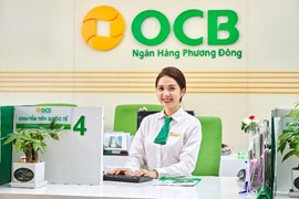 Ngân hàng TMCP Phương Đông: Lợi nhuận sụt giảm, nợ xấu leo cao?
