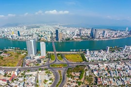 82 dự án, khu đất vi phạm luật đất đai ở Đà Nẵng, buộc thu hồi 2 trường hợp