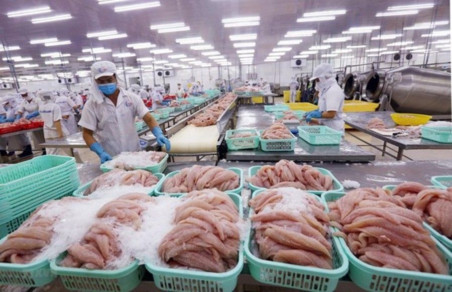 2 năm thực thi EVFTA Bài 1 : Xuất khẩu tăng ấn tượng nhờ “con đường cao tốc...” 2