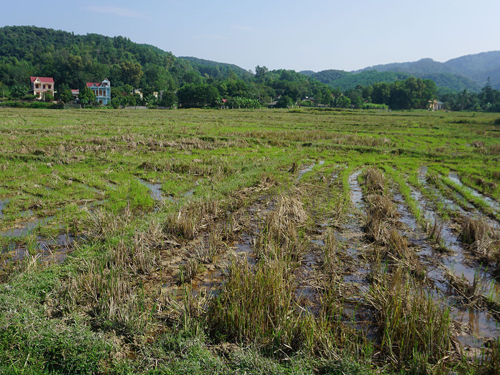 Lại bán dự án 'ma' | Khoa học và Đời sống