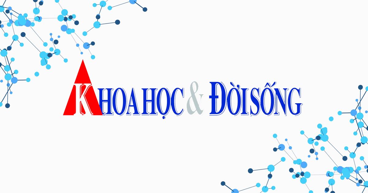 Danh tính hàng loạt công ty vi phạm về quảng cáo thực phẩm chức năng bị Cục ATTP xử phạt | Khoa học và Đời sống