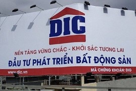 Địa ốc Him Lam không còn là cổ đông lớn tại DIG