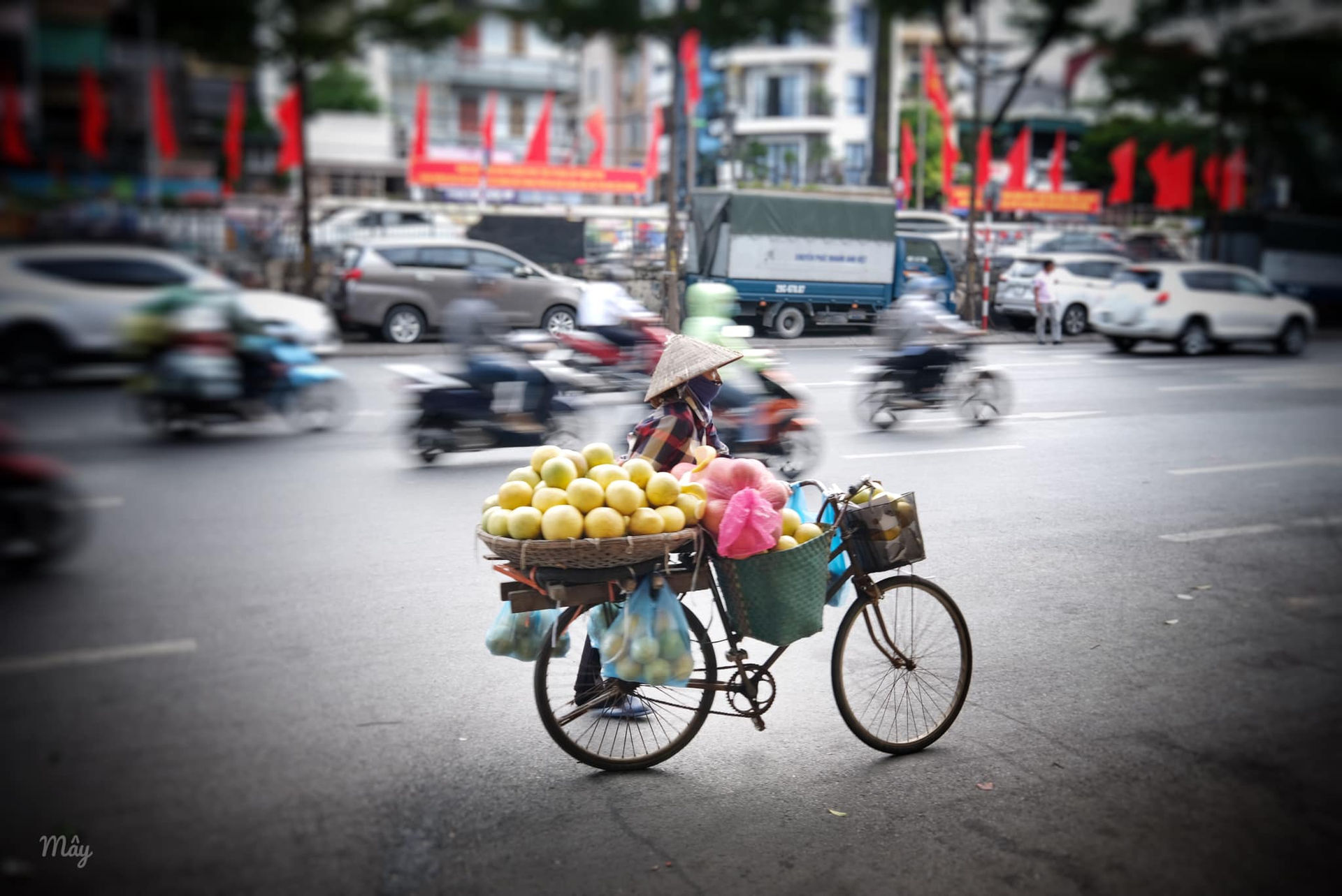 Ha Noi ruc ro co hoa chao mung Quoc khanh 2/9 5 29.01.jpg