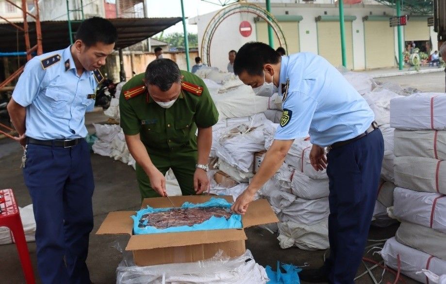 Phát hiện 03 xe container của Công ty vận tải Ngọc Phương chở hơn 80 tấn thực phẩm đông lạnh không rõ nguồn gốc