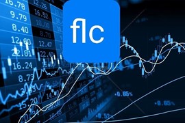 Cổ phiếu FLC bị đình chỉ giao dịch từ ngày 9/9