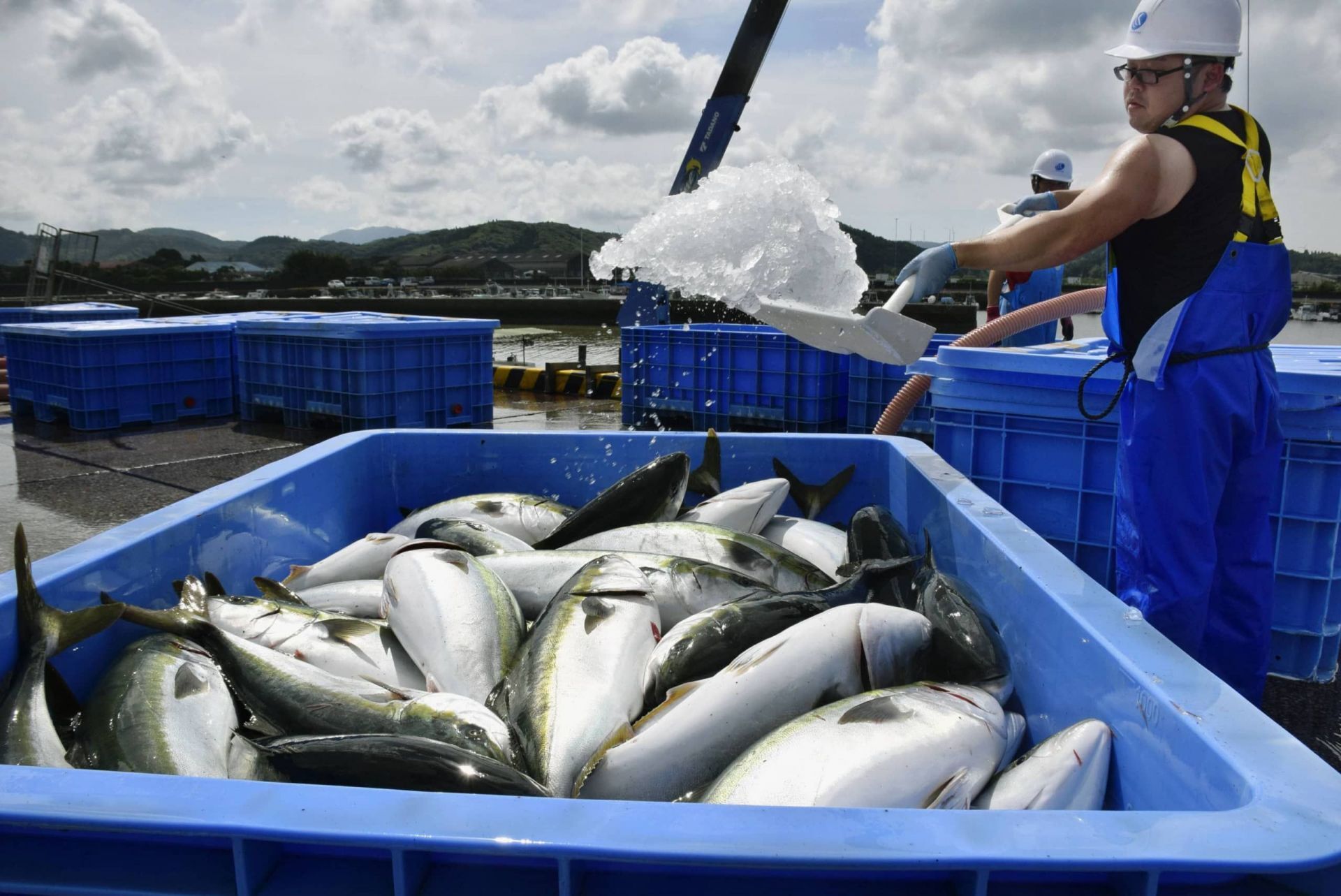 Nhật Bản: Xuất khẩu nông, thủy sản cao kỷ lục