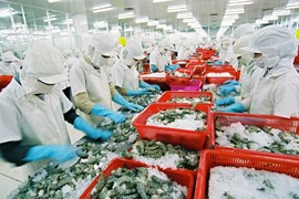 Thị trường nào được Việt Nam xuất khẩu nông sản lớn nhất thế giới?