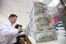 Tỷ giá đồng USD ngày 3/1: Đồng USD thoát khỏi mức thấp nhất