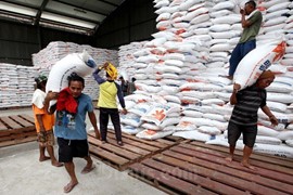 Indonesia cần thêm 1,5 triệu tấn gạo dự trữ quốc gia trong năm 2023