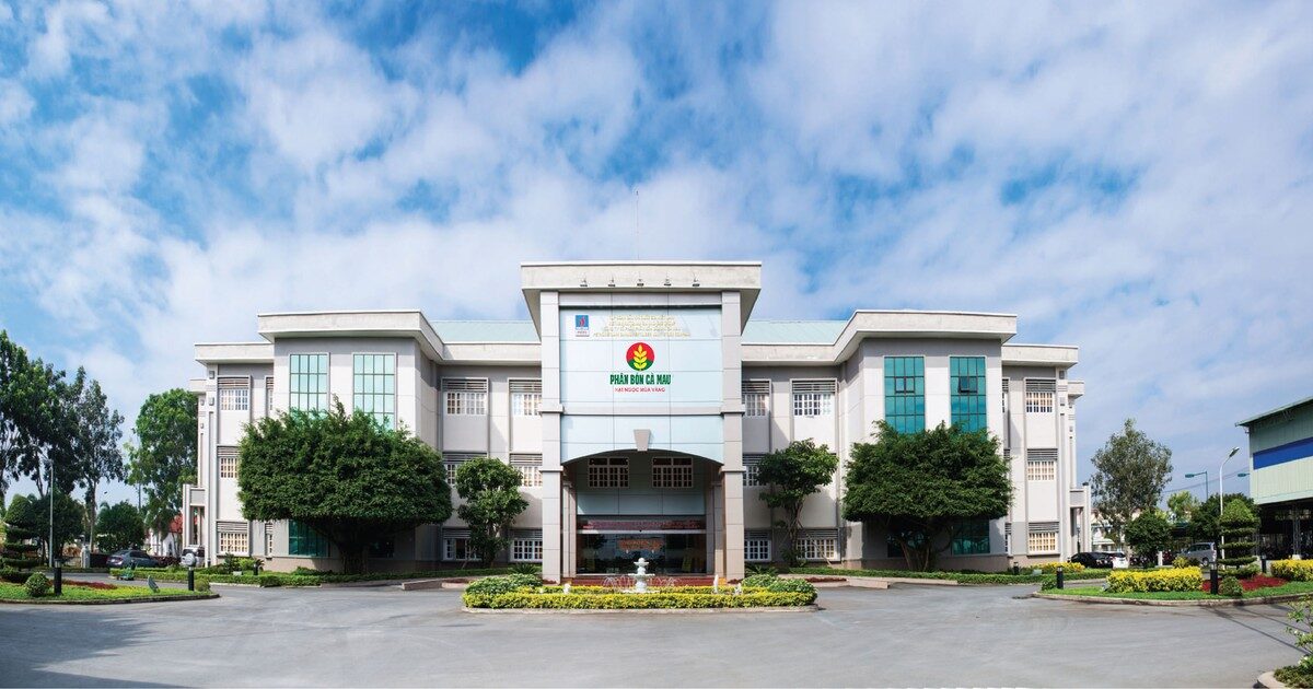 Không kê khai đủ số lượng thông quan, Đạm Cà Mau (DCM) bị xử phạt hành chính